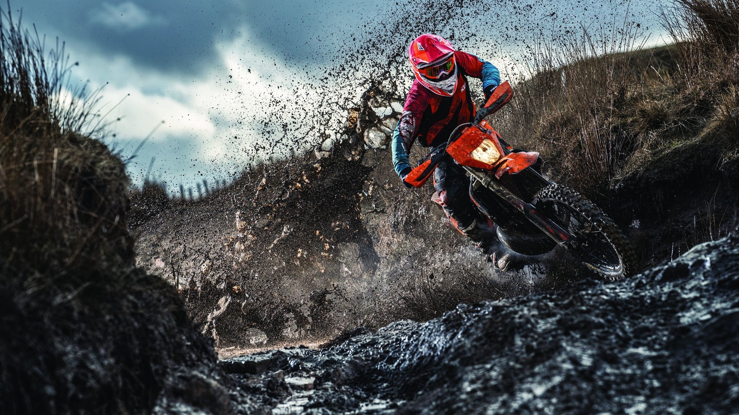 《Dota 2韩国锦标赛，KT战队成功卫冕》，韩国dota2mvp